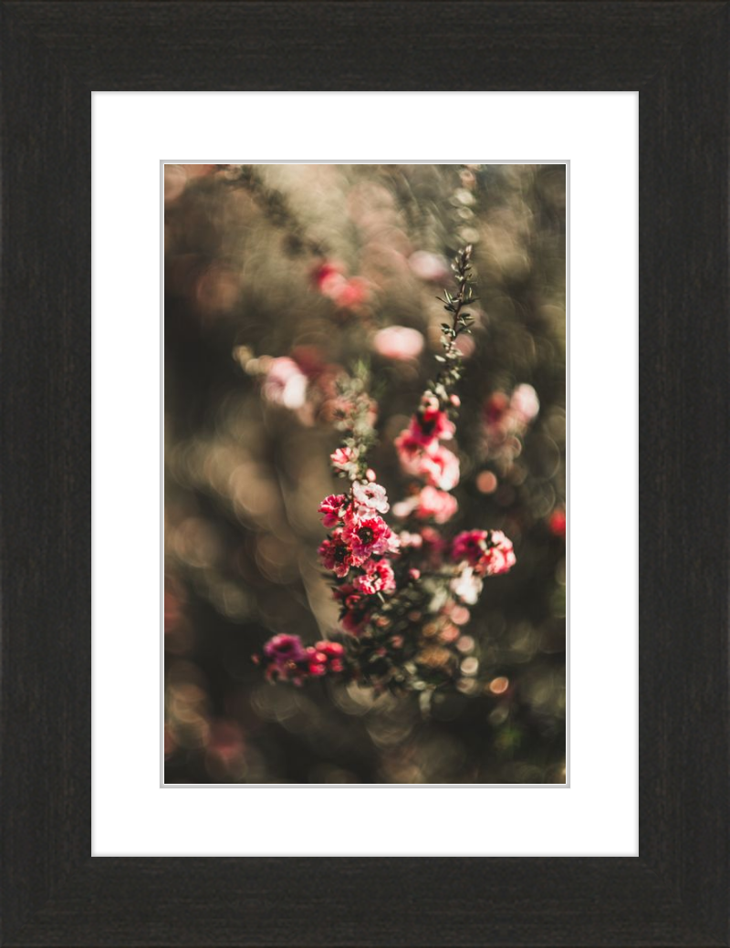 Manuka With a Vintage Lens