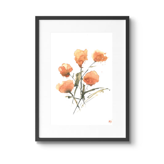 Peach Poppies Watercolor