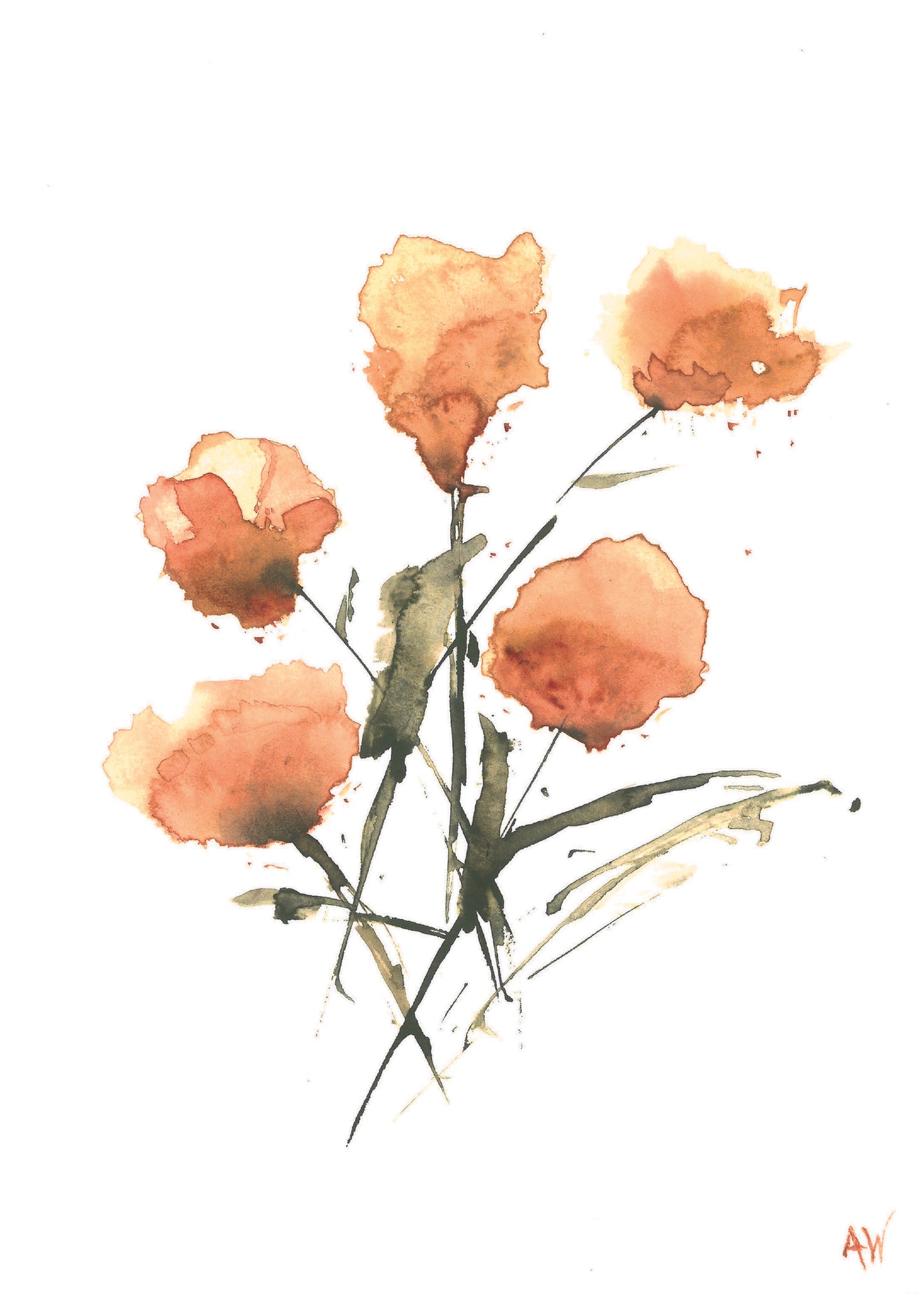 Peach Poppies Watercolor